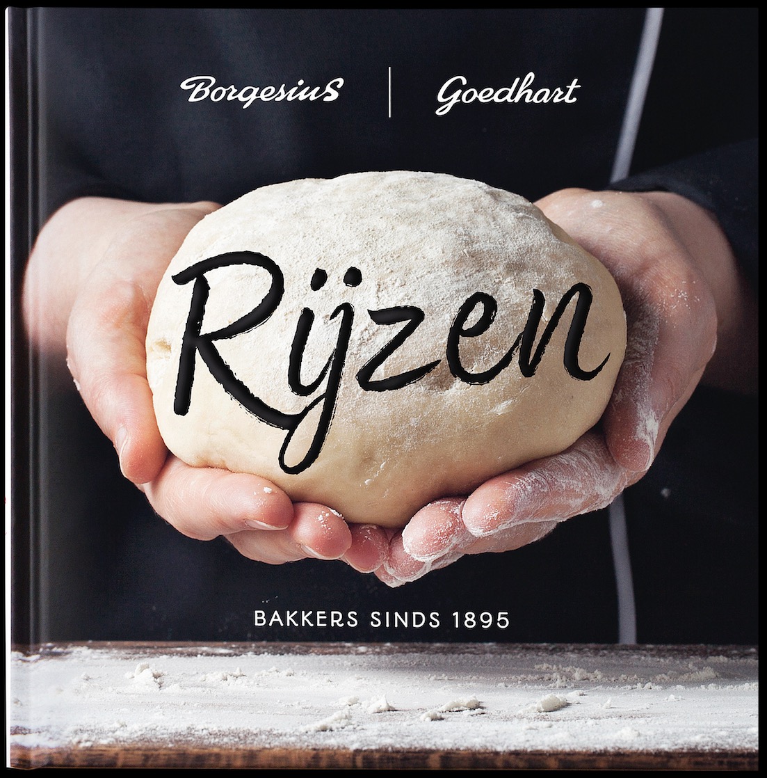 jubileumboek 125 jaar borgesius