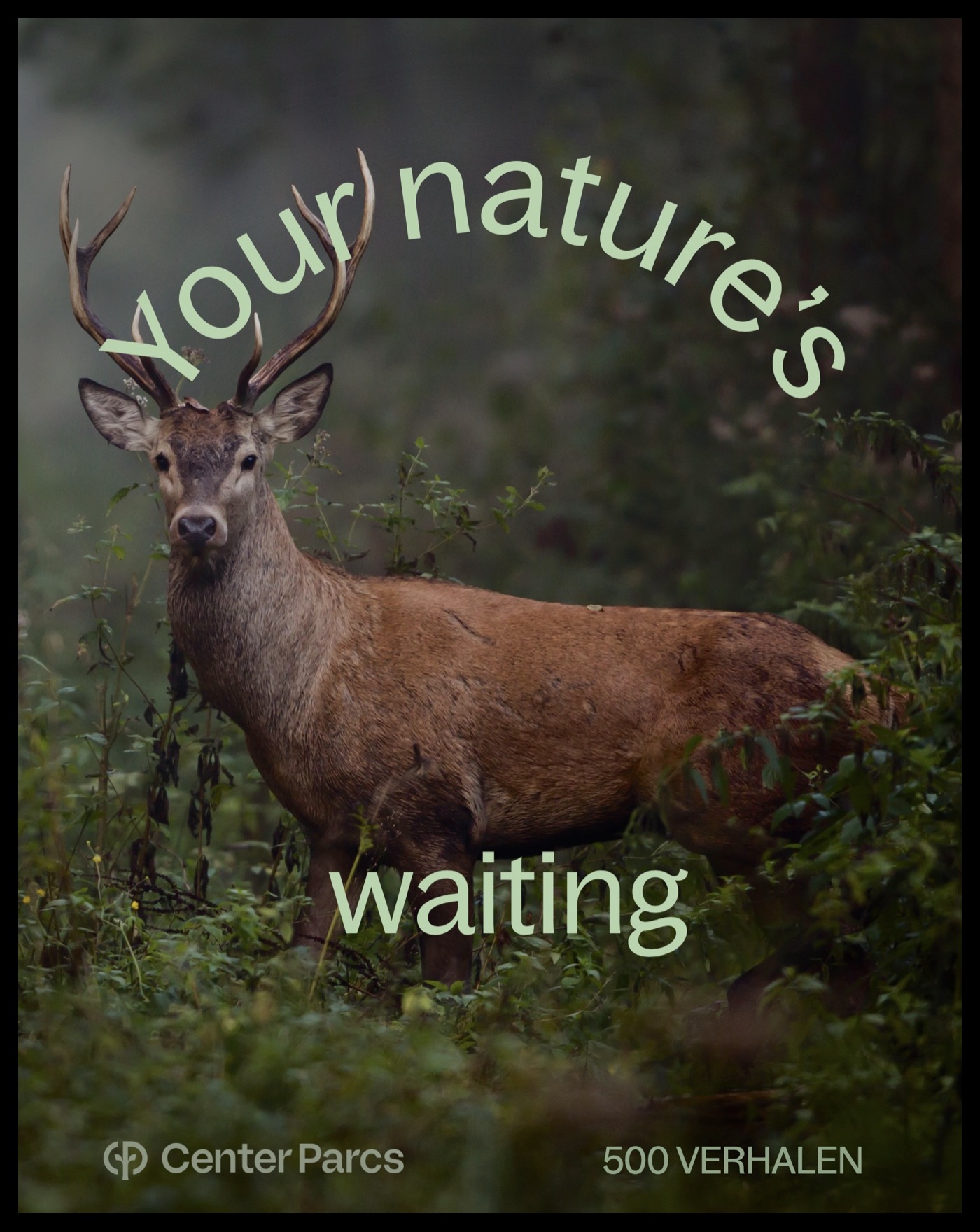 Pavlov maakte 500 verhalen voor Center Parcs: nature content